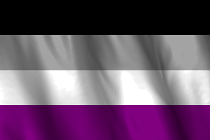National Flag of Asexual flag