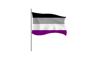Asexual Flag symbol flag