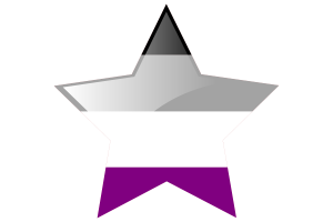 Asexual Flag Star Icon flag