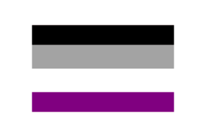 Asexual Flag Vector Illustration flag