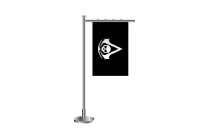 Bandera de Assassin's Creed en 3D flag