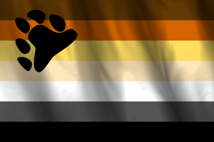 Drapeau national de l'ours flag