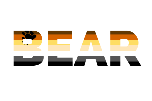 Art textuel de l'ours flag