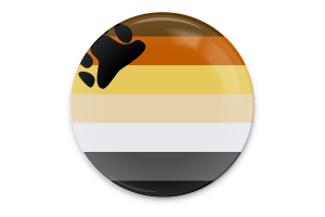 Art vecteur du drapeau de l'ours flag