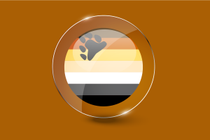 Bouton rond brillant du drapeau de l'ours flag