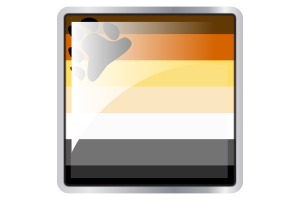 Icône carrée du drapeau de l'ours flag