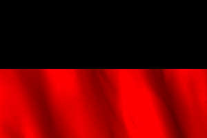 National Flag of Dravida Munnetra Kazhagam flag