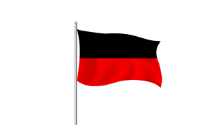 Dravida Munnetra Kazhagam Flag symbol flag