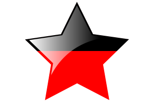 Dravida Munnetra Kazhagam Flag Star Icon flag