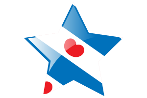 Friesland Flag Star Icon flag