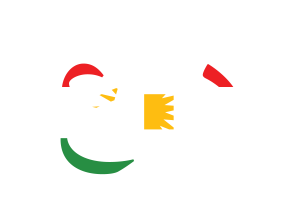Kurdistan Currency icon flag