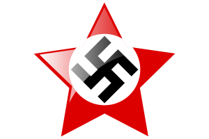 Nazi Flag Star Icon flag