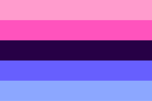 Drapeau Omnisexuel flag