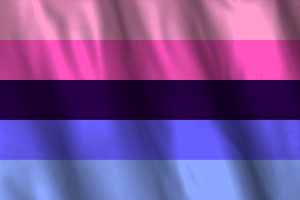 Drapeau National Omnisexuel flag
