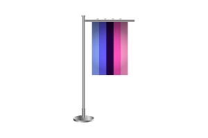 Drapeau Omnisexuel 3D Debout flag