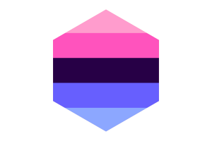 Drapeau omnisexuel forme hexagone flag