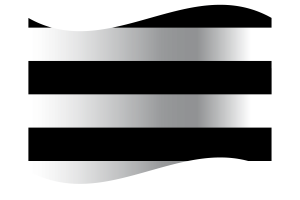 Bandera Heterosexual flag