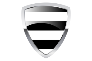 Bandera Escudo Heterosexual flag