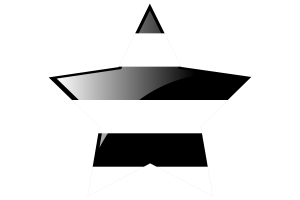 Icono de Estrella de Bandera Heterosexual flag