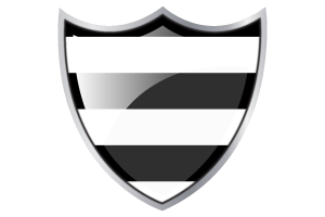 Escudo con Bandera de Heterosexual flag