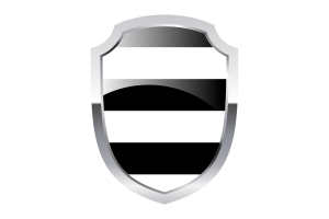 Logo de Escudo Heterosexual flag