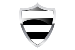 Bandera Heterosexual con Escudo de Calor Medieval flag