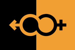 Flag of Super Straight flag