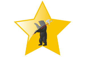 Yaroslavl Flag Star Icon flag