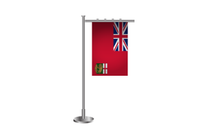 3d Manitoba Standing Flag flag