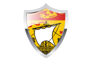 Drapeau du Nouveau-Brunswick avec bouclier médiéval flag