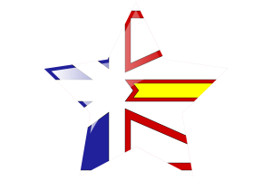 Newfoundland and Labrador Flag Star Icon flag