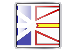 Newfoundland and Labrador Flag Square icon flag