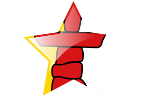 Nunavut Flag Star Icon flag