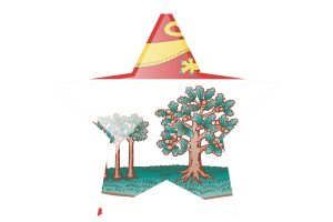 Prince Edward Island Flag Star Icon flag