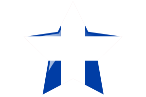 Quebec Flag Star Icon flag