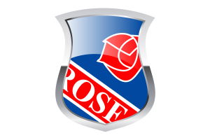 Camrose Pride Flag flag