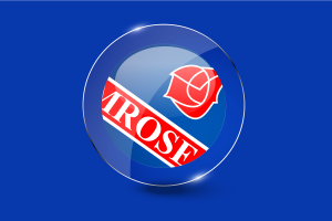 Camrose Flag Glossy Round Button flag