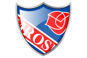 Shield with Flag of Camrose flag