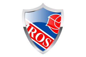 Camrose Flag with Medieval Heater Shield flag