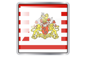 Senate of Bremen Flag Square icon flag