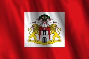 National Flag of Senate of Hamburg flag