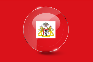 Senate of Hamburg Flag Glossy Round Button flag