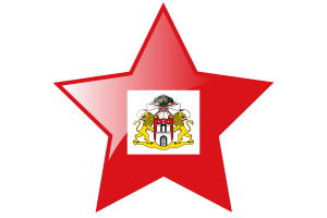 Senate of Hamburg Flag Star Icon flag