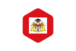 Senate of Hamburg Flag Rounded Hexagon Shape flag