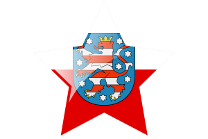Thuringia Flag Star Icon flag