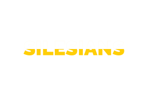 Silesian Text Art flag