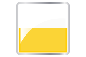 Silesian Flag Square icon flag