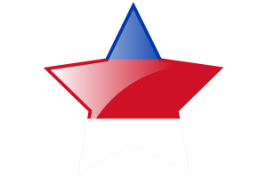 Sorbs Flag Star Icon flag