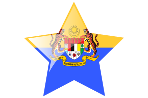 Deputy Yang di-Pertuan Agong Flag Star Icon flag