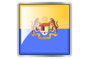 Deputy Yang di-Pertuan Agong Flag Square icon flag